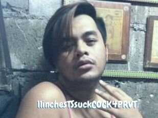 11inchesTSsuckCOCK4PRVT
