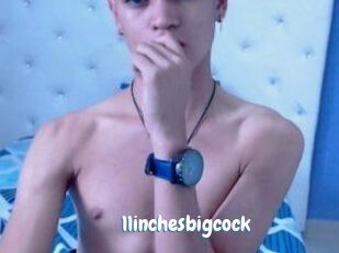 11inchesbigcock