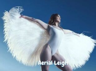 Aerial_Leigh