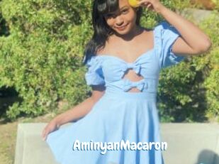AminyanMacaron