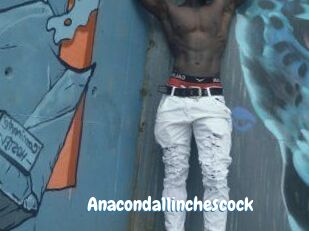 Anaconda11inchescock Coquine Avenue