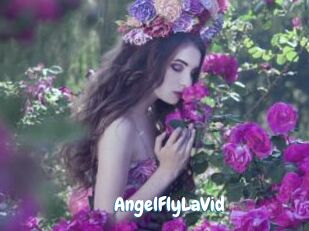AngelFlyLaVid