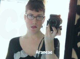 Araneae