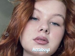 Accabuys