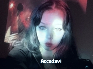 Accadavi