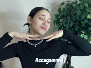 Accagammell