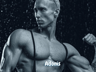 Adonis_