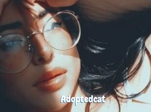 Adoptedcat