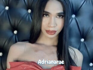 Adrianarae