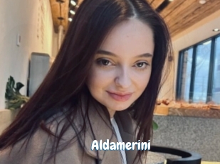 Aldamerini
