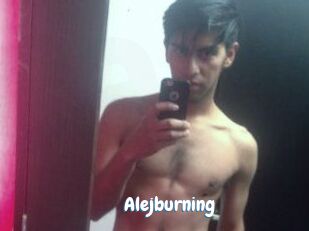 Alejburning