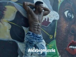 Alexbigmuscle