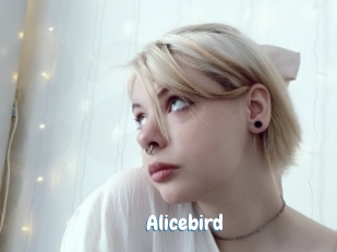 Alicebird