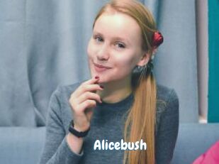 Alicebush