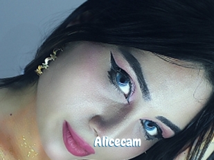 Alicecam