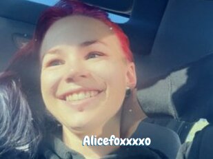 Alicefoxxxxo
