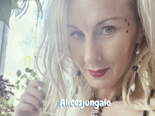 Alicesjungalo