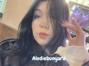 Alodiebunyard