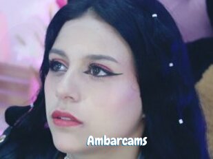 Ambarcams