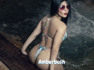 amberbush Coquine Avenue