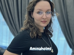 Aminaholms