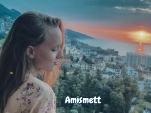 Amismett