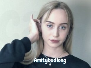 Amitybudlong