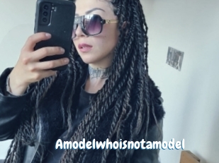 Amodelwhoisnotamodel