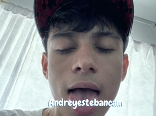 Andreyestebancam