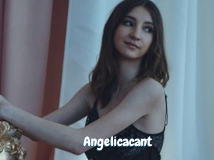Angelicacant