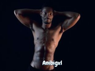 Anibigxl