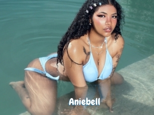 Aniebell