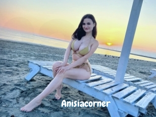 Anisiacorner