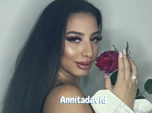 Annitadavid