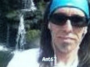 Ant67