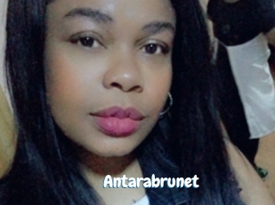 Antarabrunet