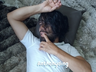 anthonyding Coquine Avenue