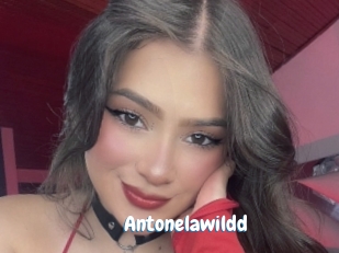Antonelawildd