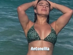 Antonellla