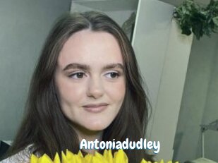 Antoniadudley