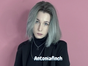 Antoniafinch