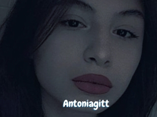 Antoniagitt
