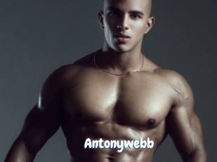 Antonywebb