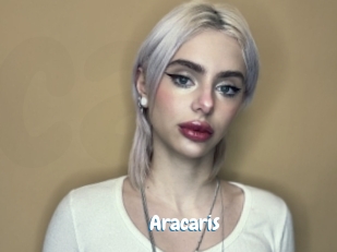 Aracaris