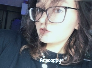 Aracorby