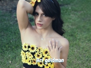 Ari_goldman