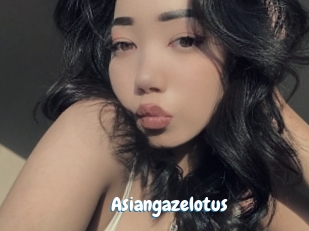Asiangazelotus