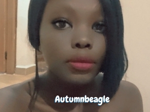 autumnbeagle Coquine Avenue
