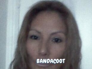 BANDACOOT