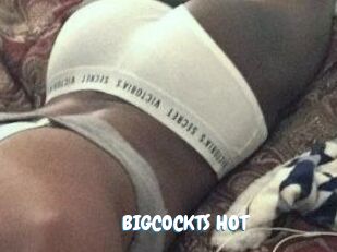 BIGCOCKTS_HOT